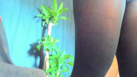 Audry online show from February 14, 2026, 1:52 pm