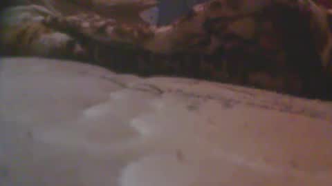 love spouse 768785628 online show from May 18, 2026, 1:24 am