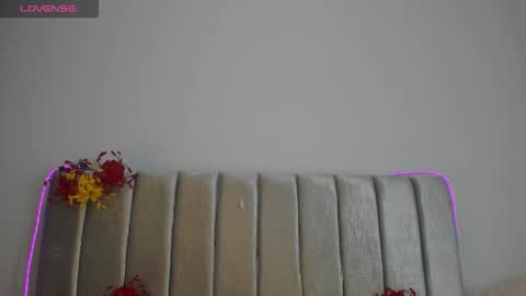 A U R O R A online show from November 29, 2025, 4:26 am