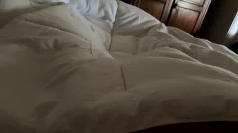 Snapshot of aussieguy1584 chatting on February 21, 2026, 10:55 pm aussieguy1584 online show from February 21, 2026, 10:55 pm