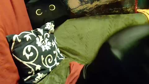 raven blue online show from February 20, 2025, 2:46 pm