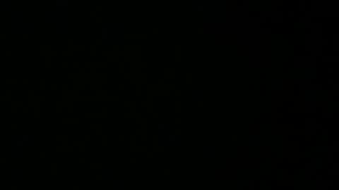 Snapshot of avg3131 chatting on January 16, 2025, 6:35 am avg3131 online show from January 16, 2025, 6:35 am