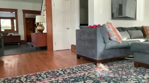 Snapshot of avgdiver chatting on February 12, 2026, 8:59 pm avgdiver online show from February 12, 2026, 8:59 pm