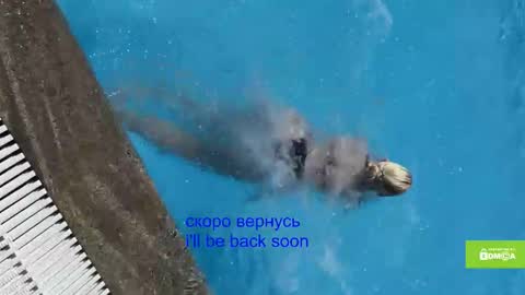 avr0ria online show from January 15, 2026, 5:34 am