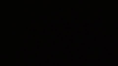 Snapshot of axel264 chatting on February 3, 2026, 5:16 am Alex online show from February 3, 2026, 5:16 am