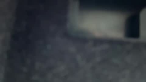 AYBOY online show from November 17, 2025, 11:38 am