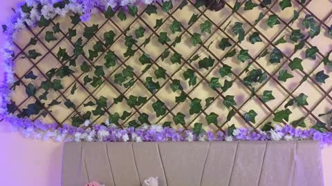  Dani  online show from December 19, 2024, 2:45 am