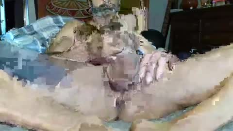 Snapshot of babyblue_1973 chatting on December 16, 2024, 3:00 pm Poindexxxter online show from December 16, 2024, 3:00 pm