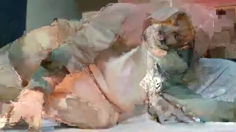 Snapshot of babyblue_1973 chatting on February 20, 2025, 7:08 pm Poindexxxter online show from February 20, 2025, 7:08 pm