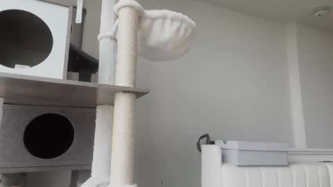 Snapshot of babydaddiii808 chatting on January 8, 2026, 11:01 am DADDY online show from January 8, 2026, 11:01 am