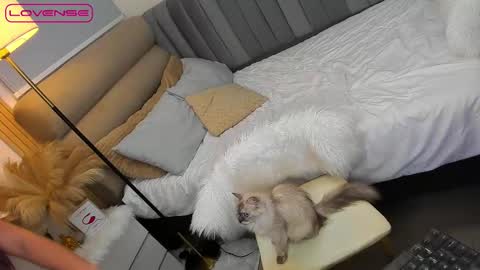 ASK ME IN PM online show from October 27, 2025, 1:48 pm