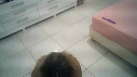 Snapshot of babyluna16 chatting on October 4, 2025, 6:06 pm babyluna16 online show from October 4, 2025, 6:06 pm