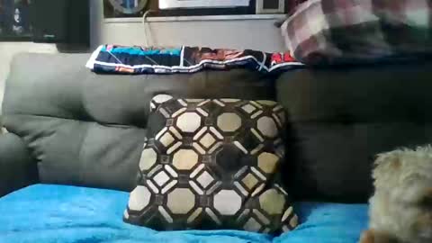 Snapshot of badcady0 chatting on September 30, 2025, 3:22 am badcady0 online show from September 30, 2025, 3:22 am