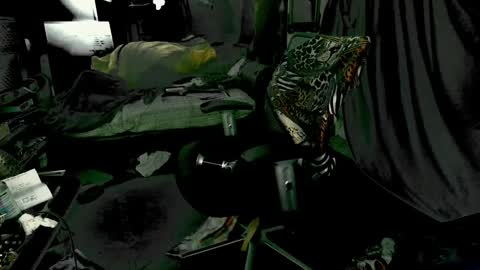 Snapshot of baddaddy215 chatting on December 9, 2024, 9:28 am baddaddy215 online show from December 9, 2024, 9:28 am