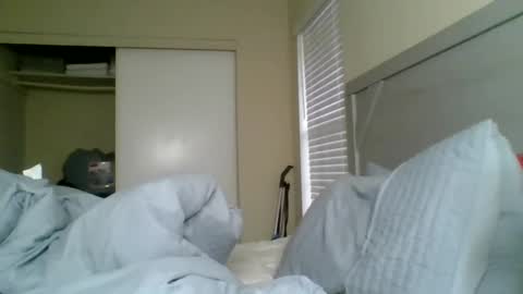 Snapshot of badgirl__brittany chatting on February 12, 2025, 8:50 pm Badgirlbritt your favorite girl online show from February 12, 2025, 8:50 pm