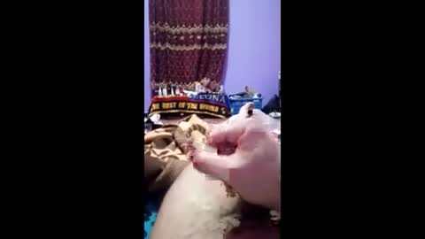 Snapshot of bahaa5555 chatting on March 1, 2026, 7:16 pm bahaa5555 online show from March 1, 2026, 7:16 pm