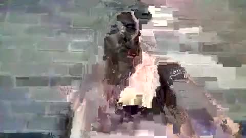 Chaterlain online show from January 10, 2025, 11:54 am