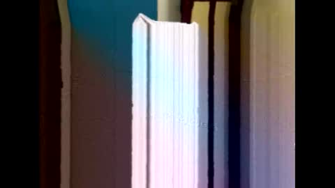 balajigoal online show from March 14, 2026, 6:46 pm