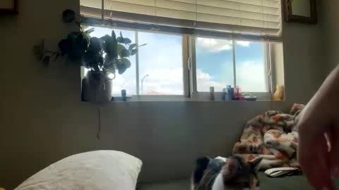 Snapshot of bambi_rae02 chatting on May 5, 2026, 10:07 pm Bambi online show from May 5, 2026, 10:07 pm