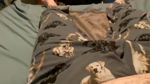 bandman862 online show from December 11, 2024, 3:13 am