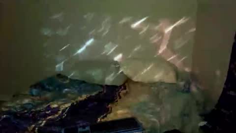 bathtimeboii online show from January 11, 2026, 4:06 am