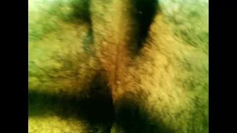 Snapshot of bayfall chatting on December 14, 2024, 10:28 pm bayfall online show from December 14, 2024, 10:28 pm