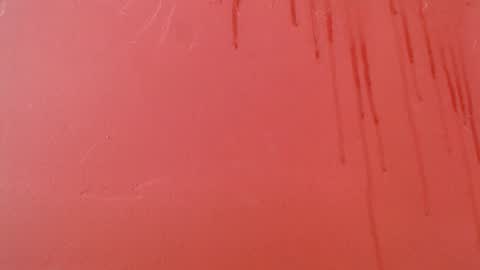 bayonette_black online show from November 8, 2025, 9:13 pm