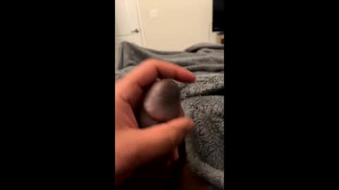 bbc4_fun online show from February 23, 2025, 6:07 am