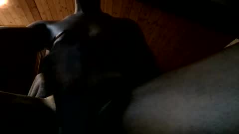 Snapshot of bbc4bearsndaddies chatting on June 2, 2026, 9:39 pm Ferdinandooo online show from June 2, 2026, 9:39 pm