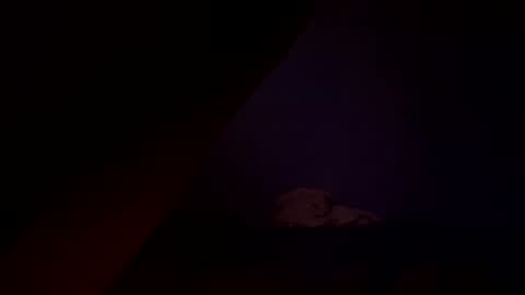 bbc_in_chitwn online show from December 15, 2024, 2:16 pm