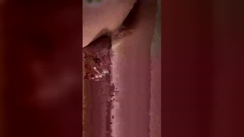 bbsasti1122 online show from April 16, 2026, 10:34 pm