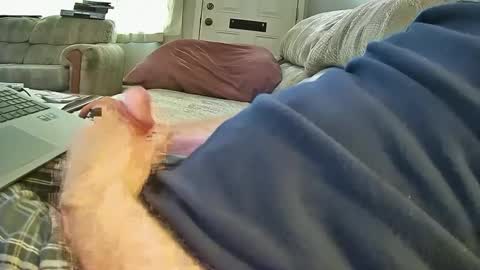 bcema2 online show from October 8, 2025, 6:49 pm