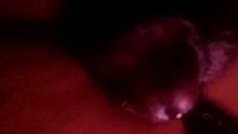 Snapshot of bcfalcon69 chatting on April 1, 2026, 3:18 am bcfalcon69 online show from April 1, 2026, 3:18 am