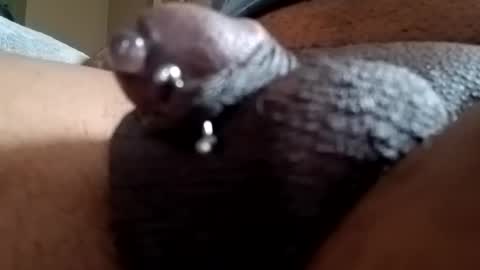 Snapshot of bcfalcon69 chatting on April 29, 2026, 12:53 pm bcfalcon69 online show from April 29, 2026, 12:53 pm