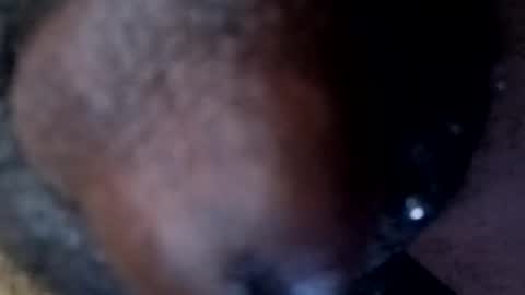 Snapshot of bcfalcon69 chatting on April 30, 2026, 2:40 am bcfalcon69 online show from April 30, 2026, 2:40 am