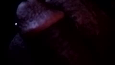 Snapshot of bcfalcon69 chatting on May 3, 2026, 3:45 am bcfalcon69 online show from May 3, 2026, 3:45 am