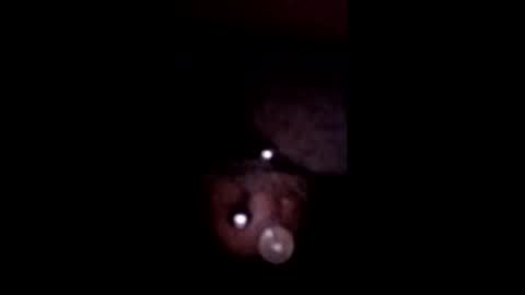 Snapshot of bcfalcon69 chatting on May 12, 2026, 5:48 am bcfalcon69 online show from May 12, 2026, 5:48 am