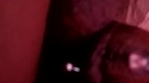 Snapshot of bcfalcon69 chatting on May 26, 2026, 6:20 am bcfalcon69 online show from May 26, 2026, 6:20 am
