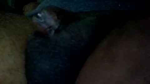 Snapshot of bcfalcon69 chatting on May 31, 2026, 4:53 am bcfalcon69 online show from May 31, 2026, 4:53 am