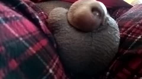Snapshot of bcfalcon69 chatting on June 1, 2026, 1:24 pm bcfalcon69 online show from June 1, 2026, 1:24 pm