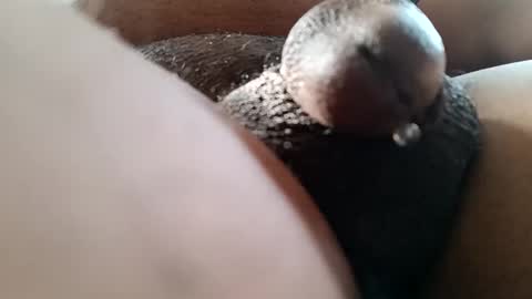 Snapshot of bcfalcon69 chatting on June 7, 2026, 12:42 pm bcfalcon69 online show from June 7, 2026, 12:42 pm