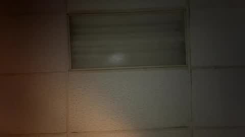 Snapshot of beardo1211 chatting on January 20, 2025, 7:47 am beard online show from January 20, 2025, 7:47 am