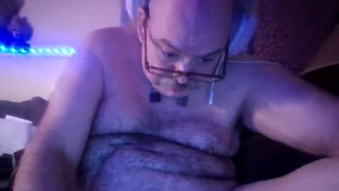 Pig Bear online show from July 22, 2026, 9:45 am