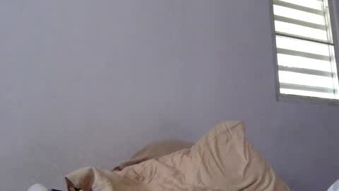 beautifukk online show from December 28, 2024, 2:53 pm