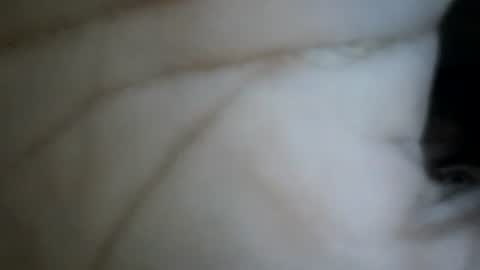 Snapshot of bebosaya93 chatting on December 17, 2025, 7:25 am bebosaya93 online show from December 17, 2025, 7:25 am