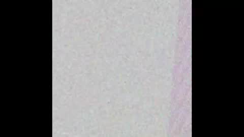 hungnheavy online show from November 1, 2025, 7:49 pm