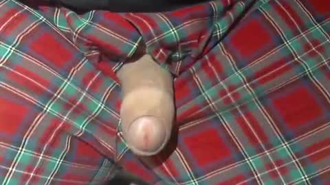  Reservoir Dogs online show from October 21, 2025, 10:05 am