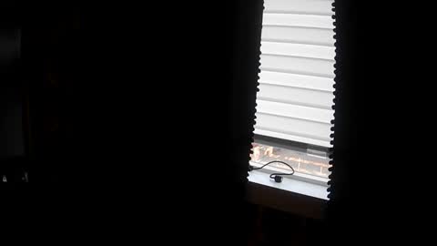Snapshot of belessa4u chatting on March 20, 2026, 12:48 am belessa4u online show from March 20, 2026, 12:48 am