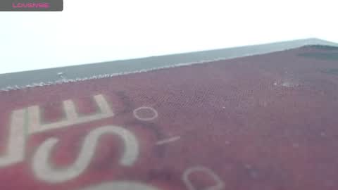 Snapshot of bella_lady_1_ chatting on March 12, 2025, 11:33 pm lady online show from March 12, 2025, 11:33 pm