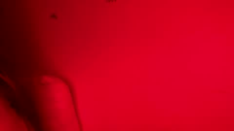 Snapshot of belle_marie chatting on November 9, 2025, 8:12 am Belle xx online show from November 9, 2025, 8:12 am